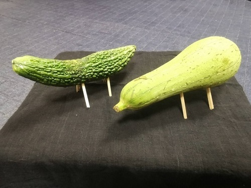 へちま.jpg