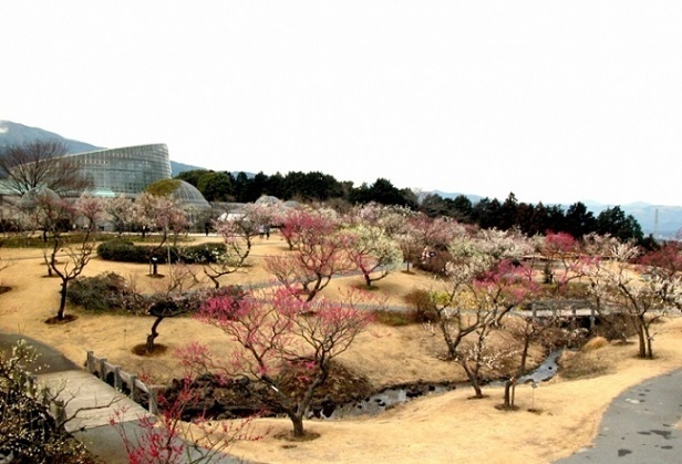 小田原.jpg