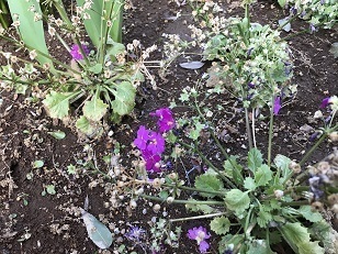 IMG_0209.jpg