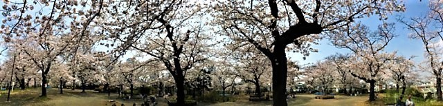 IMG_0363.jpg