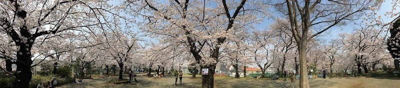 IMG_0364.jpg