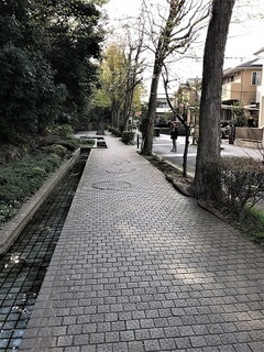 IMG_0417.jpg