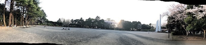 IMG_0487.jpg