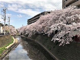 IMG_0495.jpg