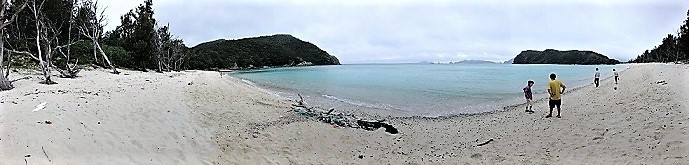 IMG_0984.jpg