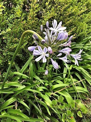 IMG_1073.jpg