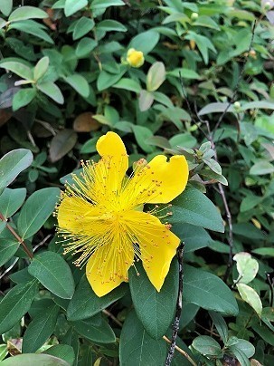 IMG_1074.jpg