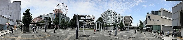 IMG_1101.jpg