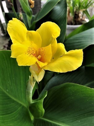 IMG_1220.jpg
