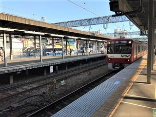 IMG_1508.jpg