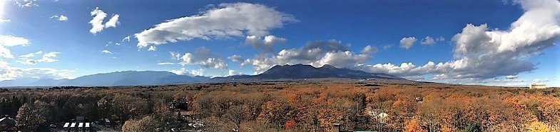 IMG_2004.jpg
