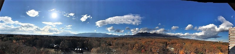 IMG_2006.jpg