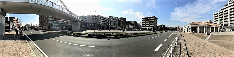 IMG_2056 (1).jpg